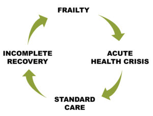 The Frailty Cycle